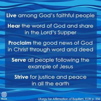 15032282_10154142129463775_5360576093699291235_n