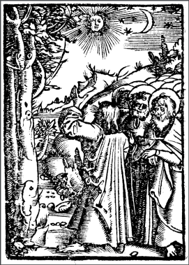 screen-shot-2016-11-13-at-10-51-09-pm