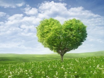Summer-heart-tree-1600x1200