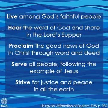 49895479_10156142327683775_160324016693837824_n