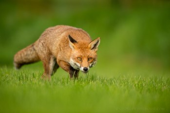 14372083487_cbeb41c837_b