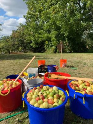 71386032_896702750705387_6720376332103974912_n